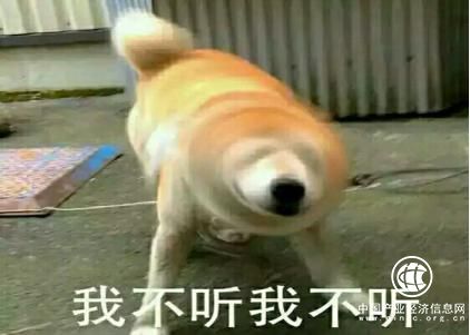 还没买保险的朋友一定要看，不然你就真的彻底输了