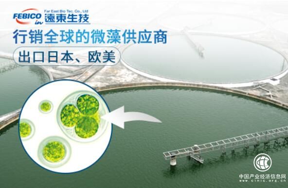 【远东生技】四十年品质造就台湾专业的微藻品牌！