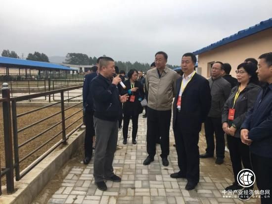呼和浩特市人大常委会副主任鲁剑钧赴草原乌骨羊武川基地调研