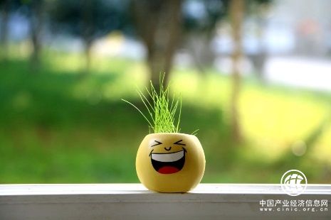 春季养肝方法，逍遥丸养肝事半功倍