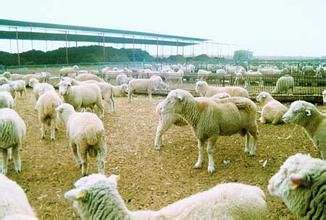 内蒙古包头、鄂尔多斯获评2022年度产业转型升级示范区建设评估优秀城市