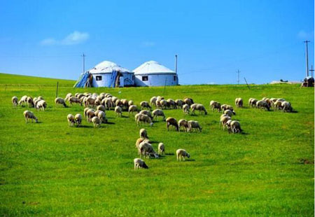 内蒙古呼伦贝尔打造向北开放的“黄金通道”