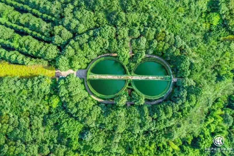 17大名酒30年后重聚，将为行业带来什么？