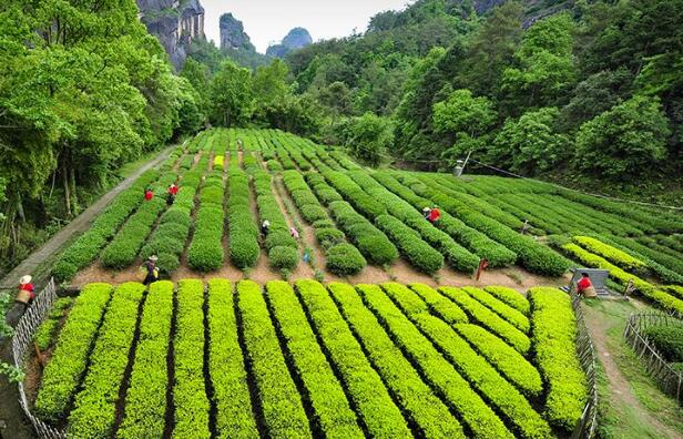 福建福州发布多元化地理标志矩阵