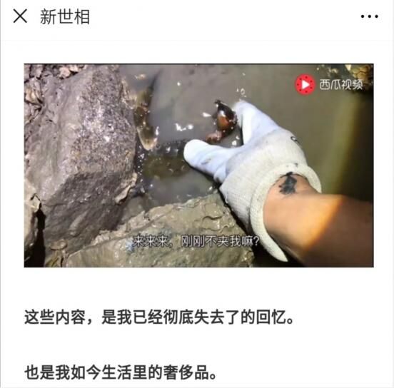 QQ截图20190428172227