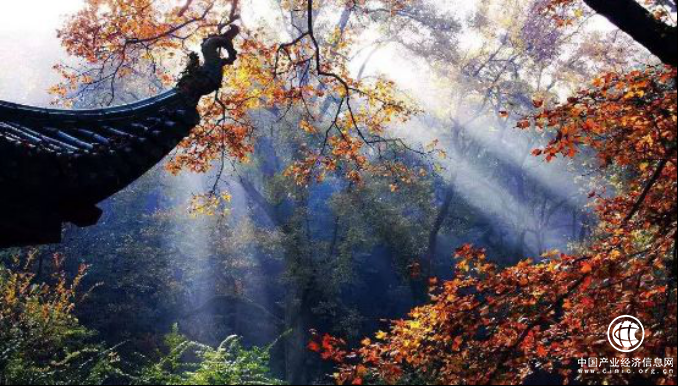 简一要在长沙“四店齐开”，超4000㎡旗舰店等你来！