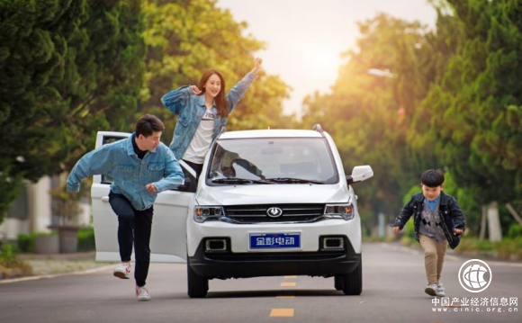 电动四轮车销量排名，金彭、雷丁、领途均上榜