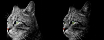 三星Galaxy S10系列和华为P30 Pro 你更喜欢哪一款？