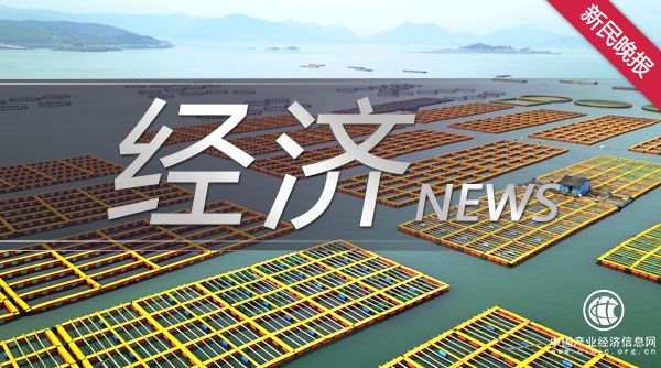 钟玮玮:行走于教育与投资之间的创业者