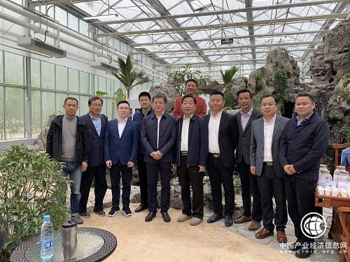 道地药材典型代表霍山石斛亮相北京世园会