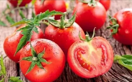 范忠福出席北斗星蔬菜有限公司签约