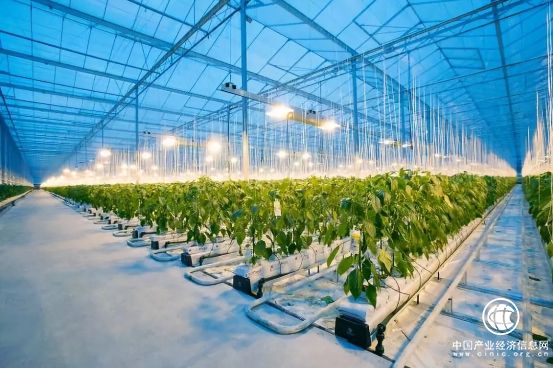 范忠福出席北斗星蔬菜有限公司签约