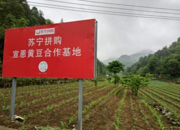 苏宁拼基地布局成效凸显 智能供应链造就品质拼购