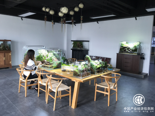 品牌实力日益提高，得益鱼呼吸宠物用品对创新的孜孜不倦