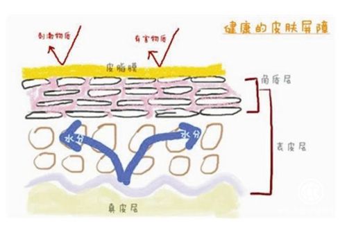 春季皮肤科很热闹，患者咨询皮肤屏障受损怎么修复