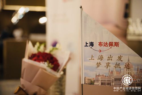 1559889376202015835.jpg 2.jpg