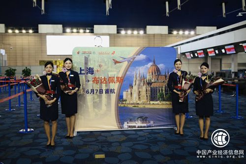 1559889400265015286.jpg 5.jpg