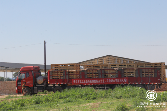 从行业根本出发,红星美羚率先起步助力中国奶山羊产业长远发展