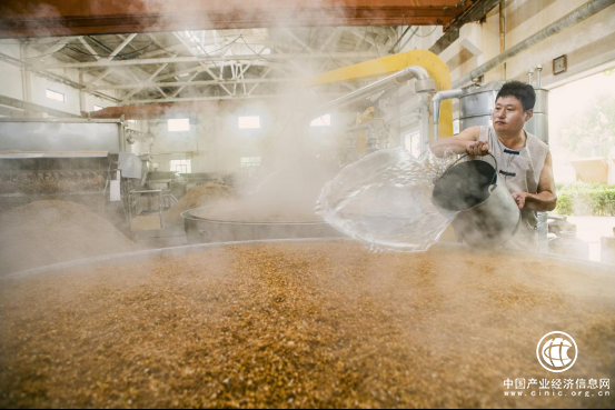 2019秋季全国糖酒会即将启动 北派浓香代表651.png