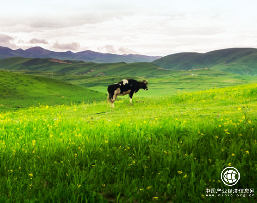 合生元阿尔法星多重保护，为宝宝成长保驾护航