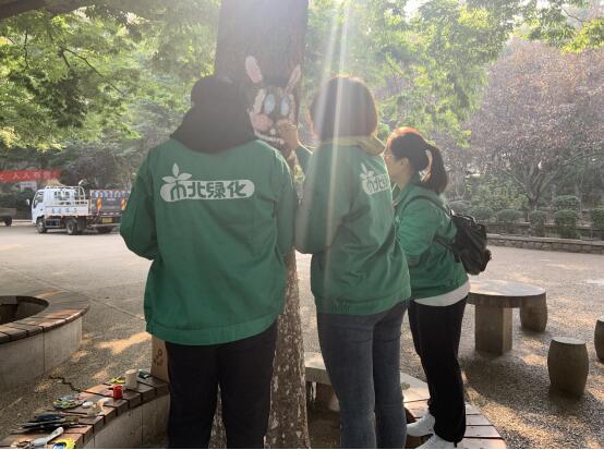 青岛：“树体彩绘”为公园增靓添彩提升活力