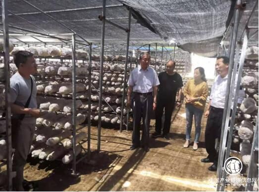 河南省南召县板山坪镇樊楼村党支部书记卢俊延用真情带全村摘穷帽