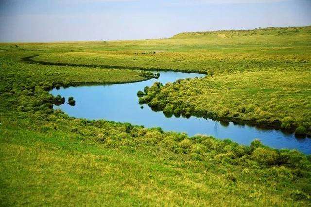 黑龙江杜尔伯特：昔日“西北风口”筑起百万亩绿色“长城”