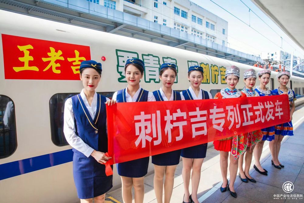 “刺柠吉”高铁专列启动 粤黔产业合作驶入快车道