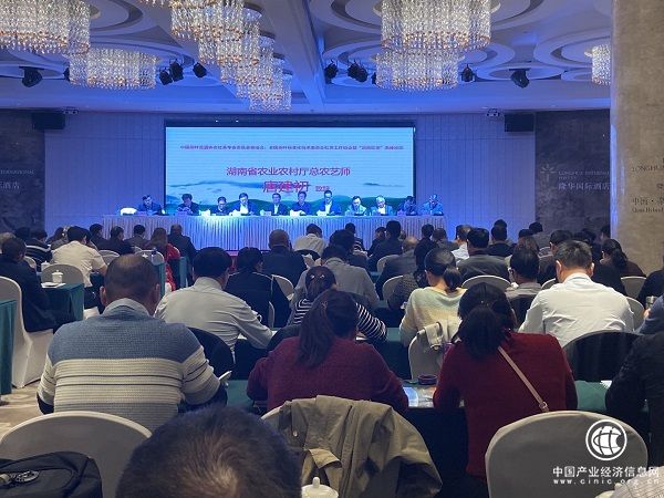 湖南倾力打造红茶产业助推地方经济发展