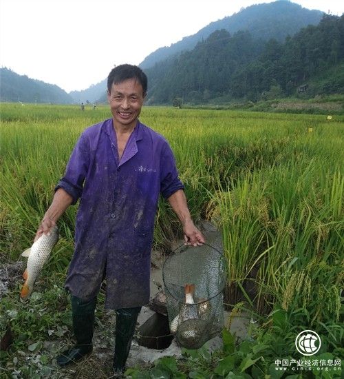 生态渔业带动贵州万农户增收