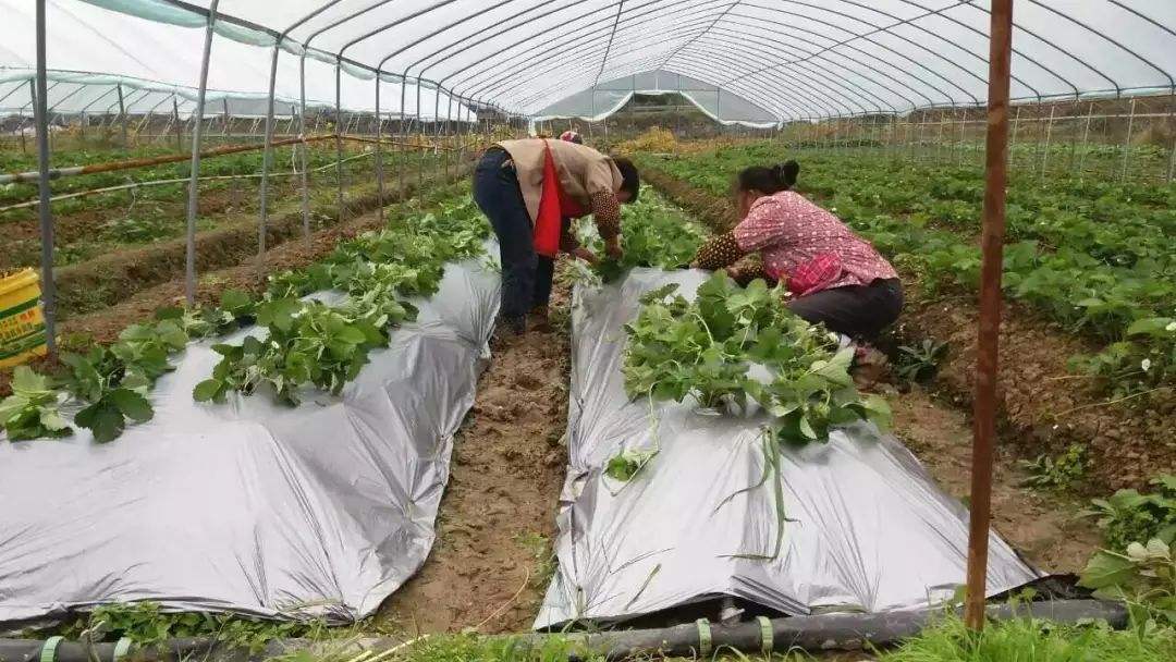 黑龙江推动中医