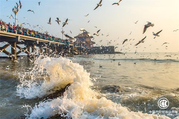 青岛旅游百万大礼包送给齐鲁人民