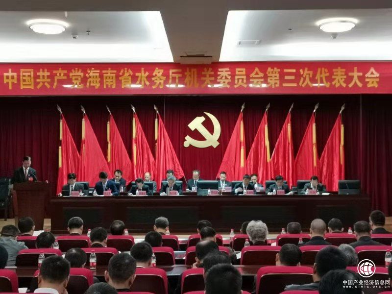 海南省水务厅机关委员会第三次代表大会召开