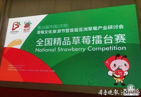 第18届中国(济南)草莓文化旅游节启幕 见证