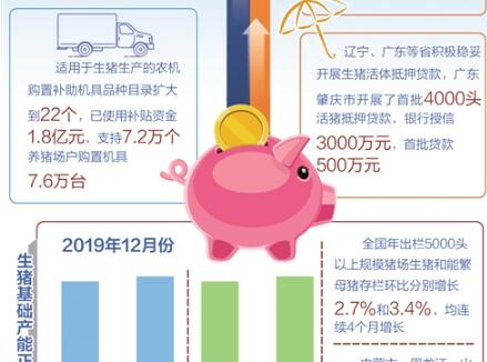 扶持政策加快落地，生猪出栏实现止跌回升——全国猪肉供需矛盾持续缓解