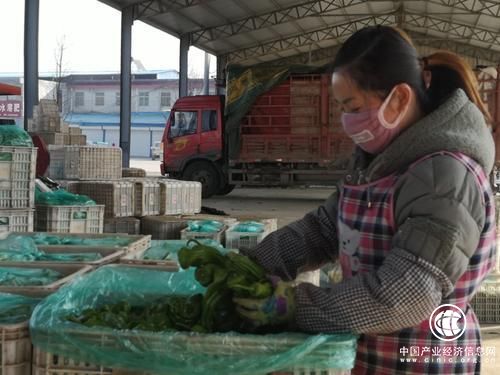 “我们与武汉心连心”140吨兰陵蔬菜，再援武汉！