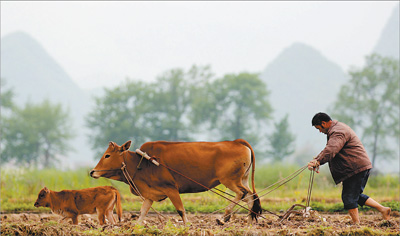 疫情防控春管备耕 江苏两手抓力保农业生产不负春光