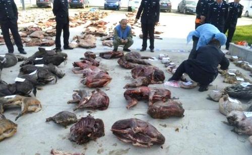 市场监管总局：坚决取缔野生动物交易