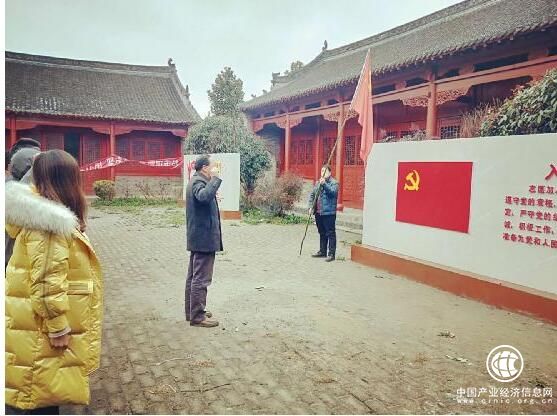 河南省南召县太山庙乡举行“疫”线入党仪式