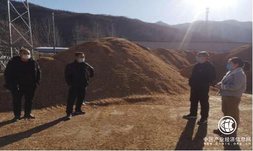 河南南召板山坪镇：疫情防控与产业发展两不误