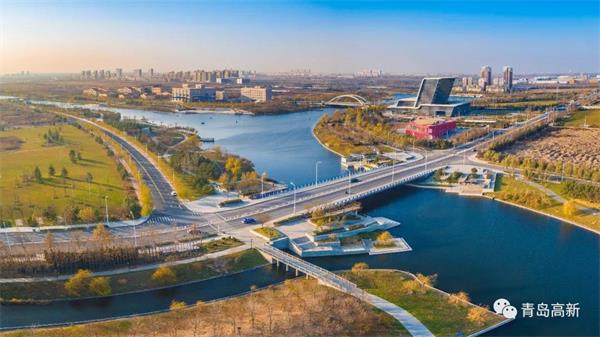 青岛高新区财政金融齐发力 引资汇智战疫情