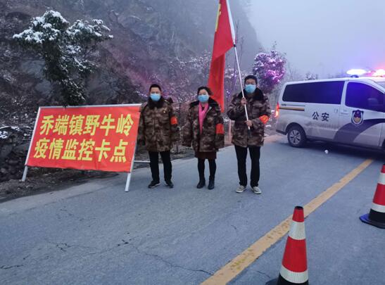 河南省南召县乔端镇：疫情防控前线 巾帼不让须眉