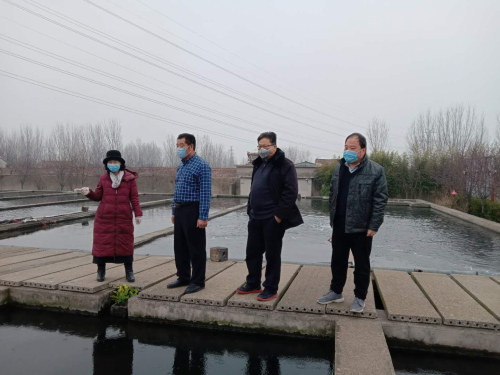 抗疫情 稳生产  市渔业专家到罗庄水产养殖企业指导复工复产