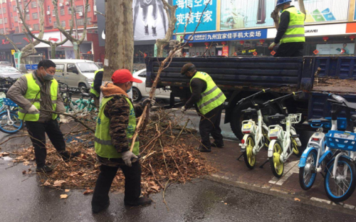 科学复工丨兰山绿地喝上“返青水”