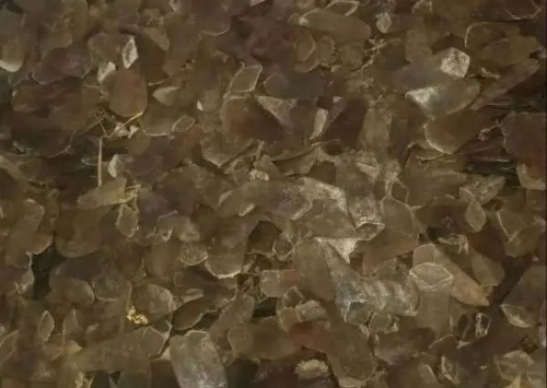 痛心！无语！温州查获10.65吨穿山甲鳞片