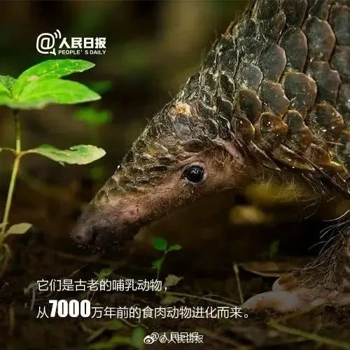 20200225151515261.jpg 4.jpg