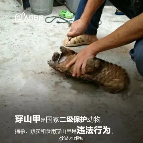 20200225151526261.jpg 5.jpg