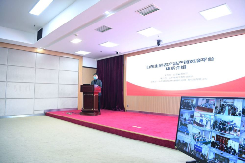 齐”心“鲁”力|滞销怎么办？山东助推农产品线上销售解难题