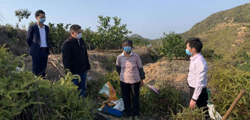 广东和平县：抓好疫情防控、推进扶贫产业复工复产