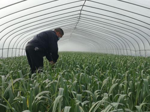 兰陵：抓春耕 稳农业 促发展